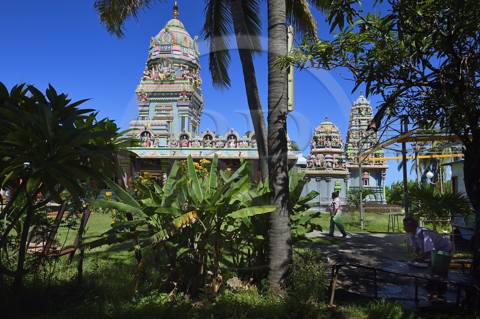 France, Ile de la Reunion, Saint-Pierre, La Ravine Blanche, temple Tamoul Narassingua Perournal