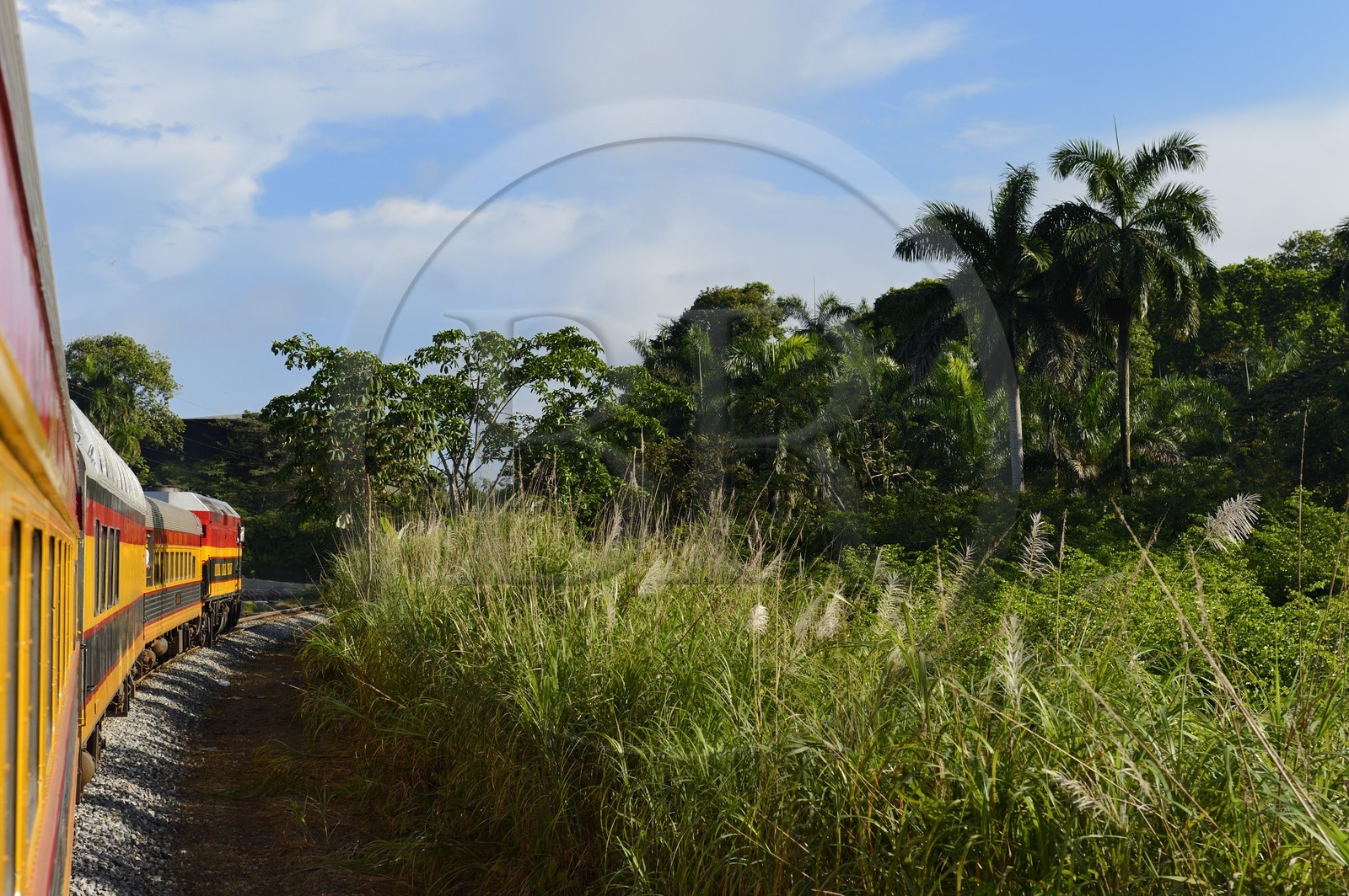 Panama, Panama Canal Railway, ligne de train historique qui relie la ville de Panama et Colon en longeant le canal de Panama et traversant l'isthme