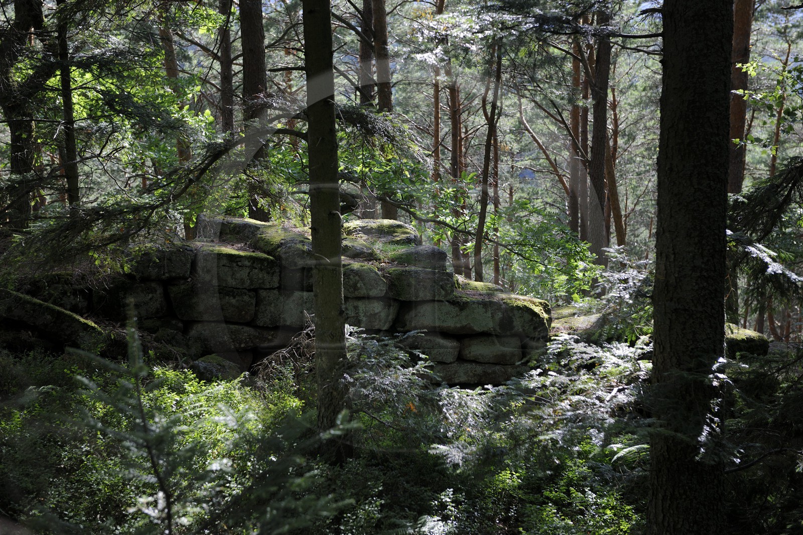 France, Bas-Rhin (67), le Mont Saint-Odile, le mur païen
