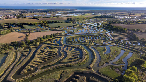 France, Vendée (85), Talmont-Saint-Hilaire, marais aménagés pour la pisciculture de dorades, mulets et anguilles