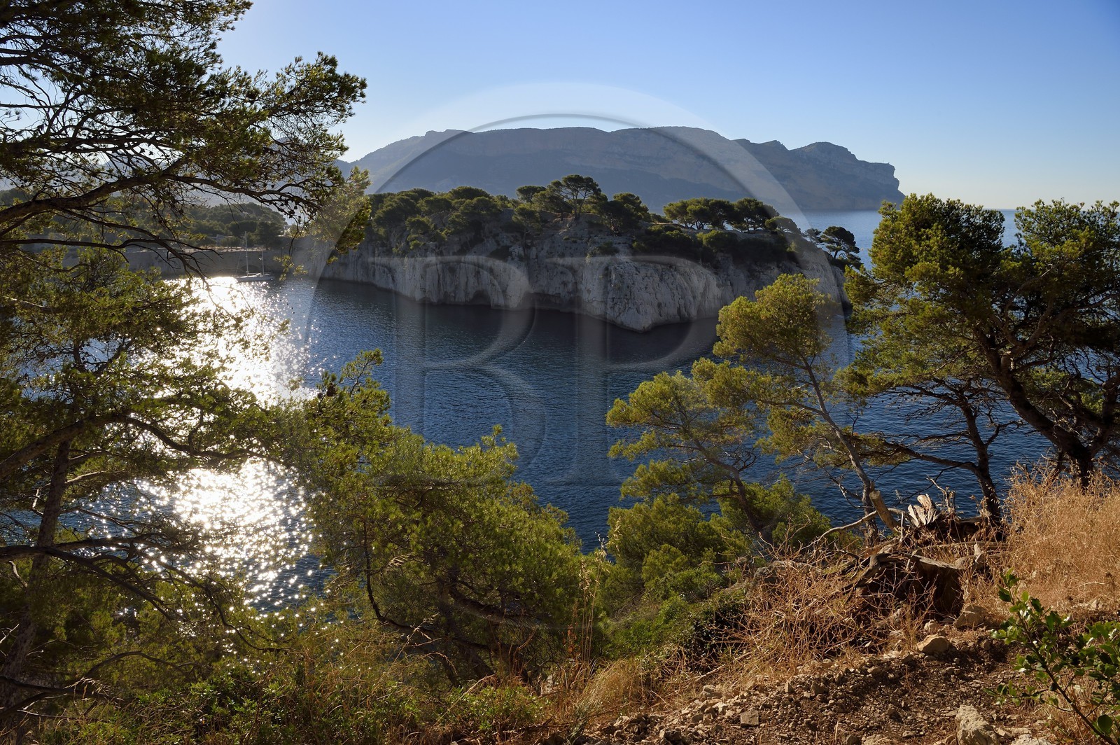 France, Bouches-du-Rhône (13), Cassis, Parc national des Calanques, Calanque de Port-Miou et les falaises du Cap Canaille en arrière plan (demande d'autorisation nécessaire avant publication)