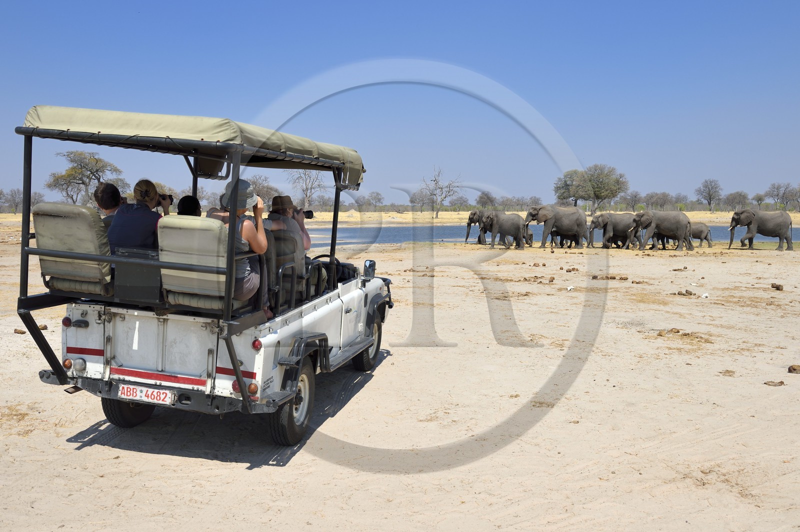 Zimbabwe, province de Matabeleland septentrional, parc national Hwange, touristes en 4x4 observant un troupeau de éléphants sauvages d'Afrique (Loxodonta africana) autour d'un point d'eau dans la savane