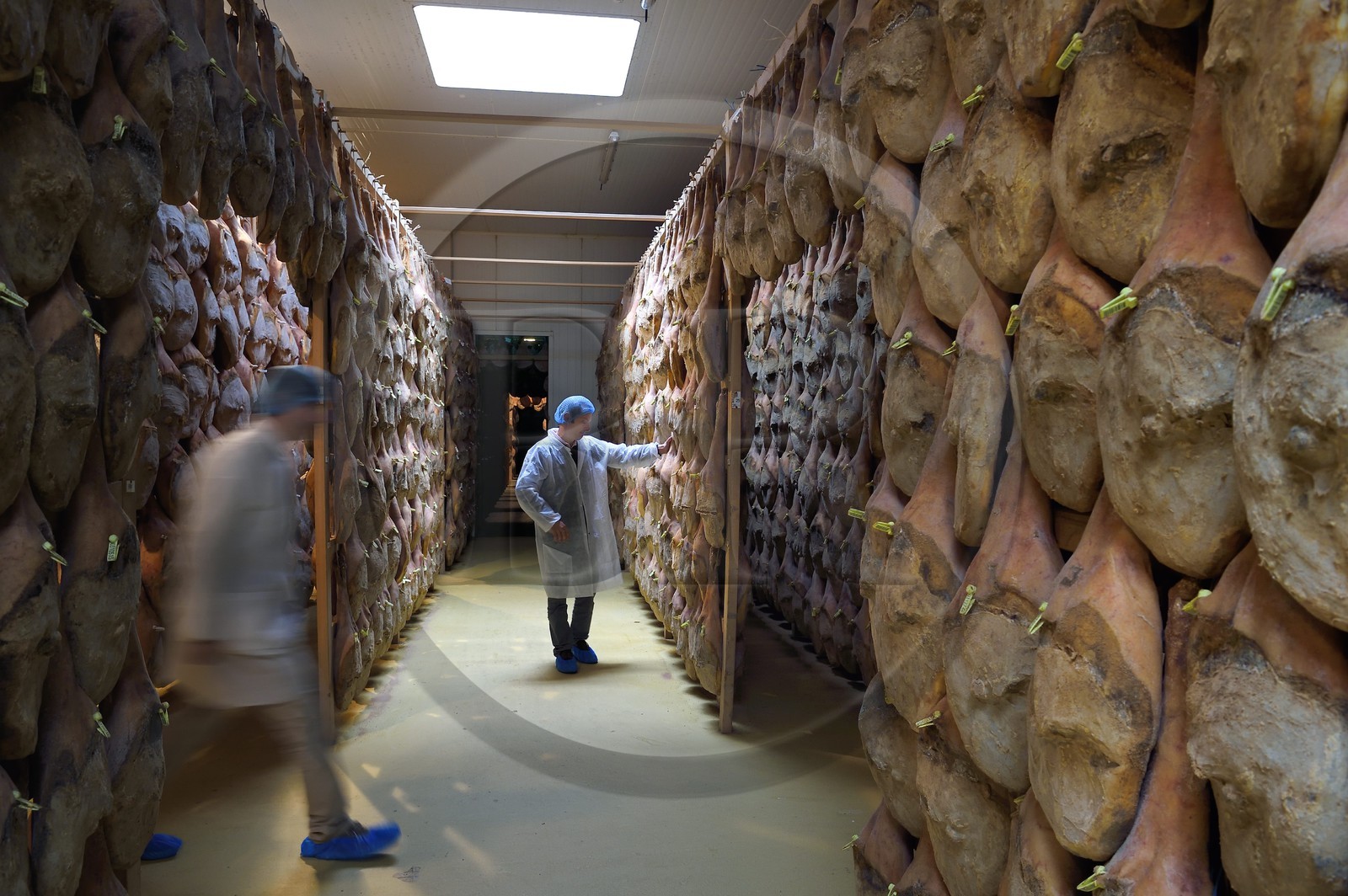 France, Pyrenees Atlantiques, Basque Country, Aldudes valley, the Aldudes collective dryer ensures the drying and the ripening of hams, ripening area