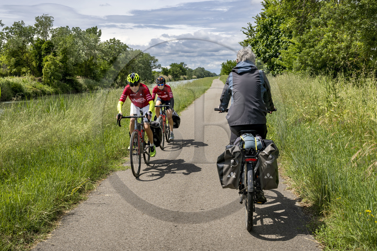 France (30), Gard, Beaucaire, cyclistes sur la véloroute ViaRhona, voie Verte longeant ici le Canal du Rhone à Sète