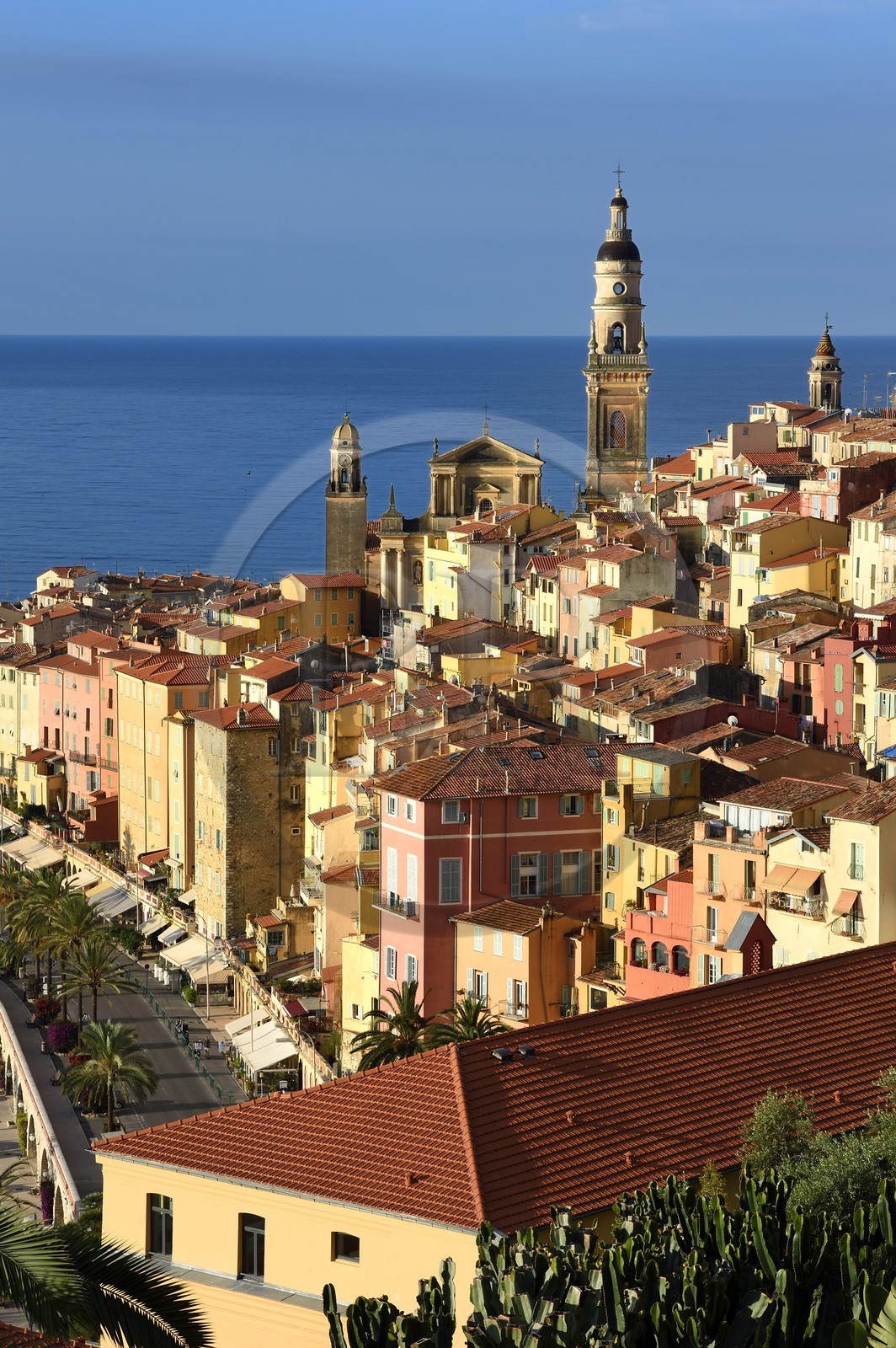 France, Alpes-Maritimes, Menton, old town dominated by the St Michel Basilica