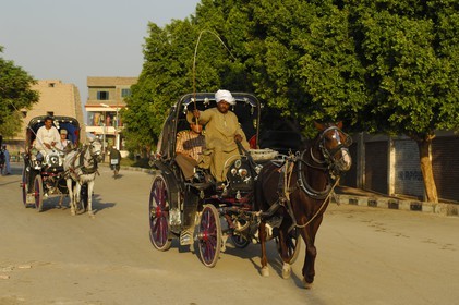 Egypte, Haute Egypte, vallée du Nil, Louxor, calèche