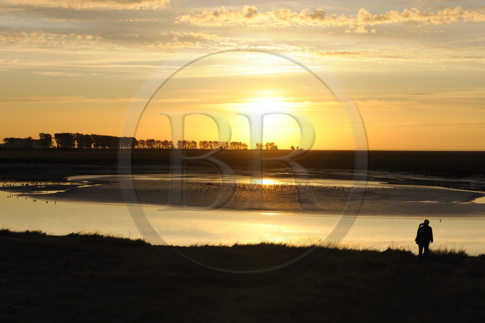 France, Manche (50), Baie du Mont-Saint-Michel, les berges submersibles de la rivière Couesnon au coucher de soleil