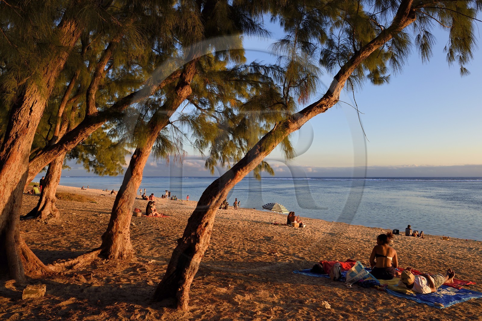 France, île de la Réunion, la Cote Ouest, plage du lagon de Saint-Gilles-Les-Bains à l'Ermitage-les-Bains, à l'ombre des filaos