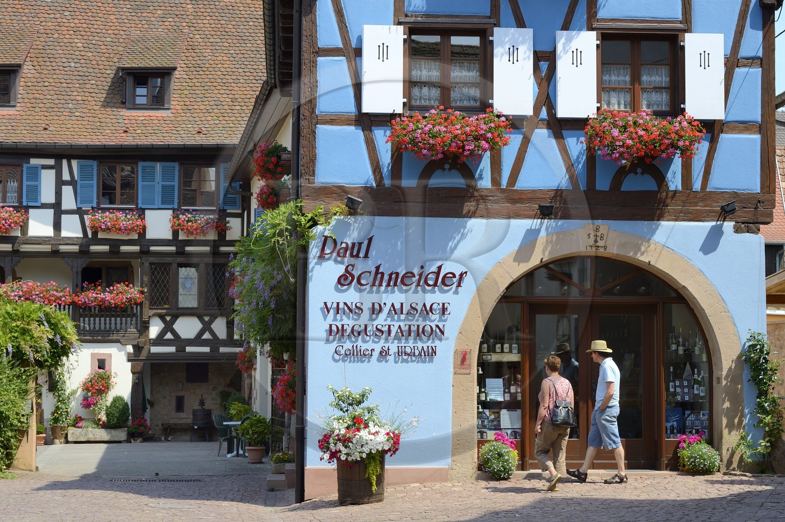 France, Haut Rhin, Eguisheim, labelled Les Plus Beaux Villages de France (The Most Beautiful Villages of France), house of the winemaker Paul Schneider, tasting and wine sale