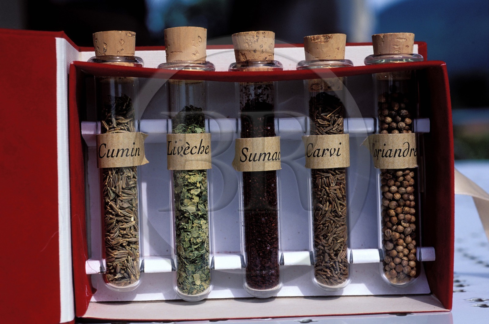 France, Haute Garonne, Valcabrere, roman style restaurant Lugdunum, spices used at the time of ancient Rome