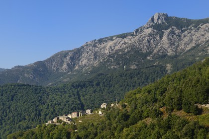 France, Haute-Corse (2B), Castagniccia, le village de Poggio di Croce (U Poghju di Croce) au pied du mont San Petrone