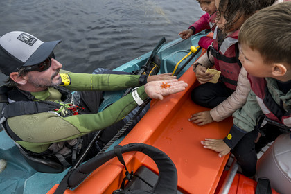 France, Finistère (29), Penmarch, archipel des Étocs, des enfants découvre une étoile de mer