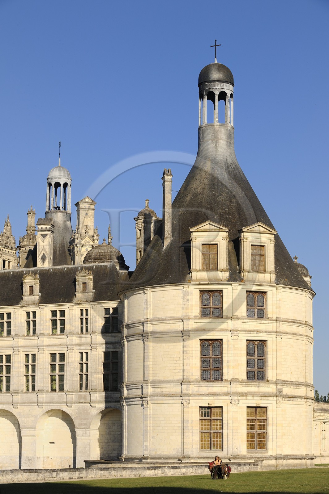 France, Loir et Cher (41), Vallée de la Loire classée Patrimoine Mondial de l' UNESCO, château de Chambord