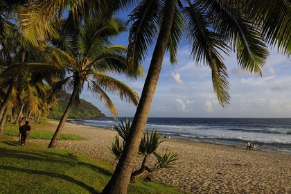 France, île de la Réunion, la côte sud, plage de Grande-Anse