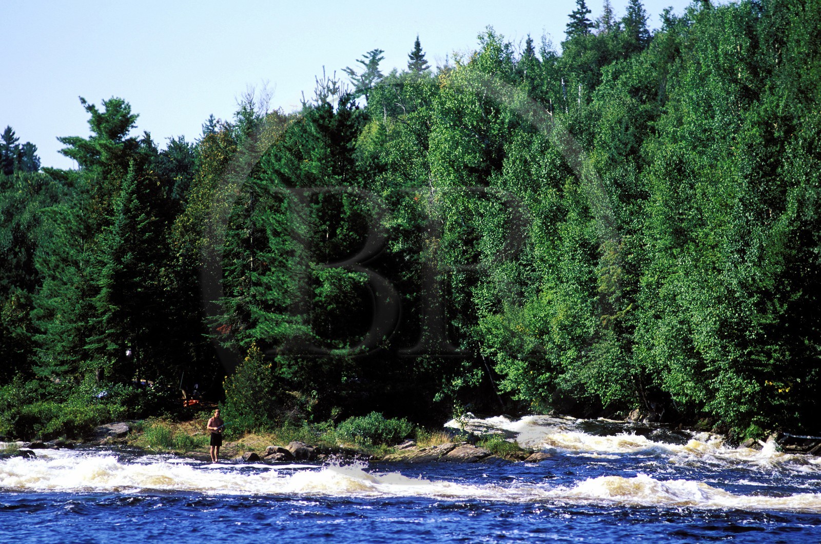 Canada, province de Québec, Réserve faunique de la Vérendrye, rivière des Outaouais, pêcheur sur un îlot dans les rapides