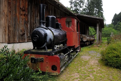 France, Moselle, Abreschviller, small train formerly forest train, Locotracteur 020 Gmeinder-Kaelble type Heeresfeldbahn HF 50