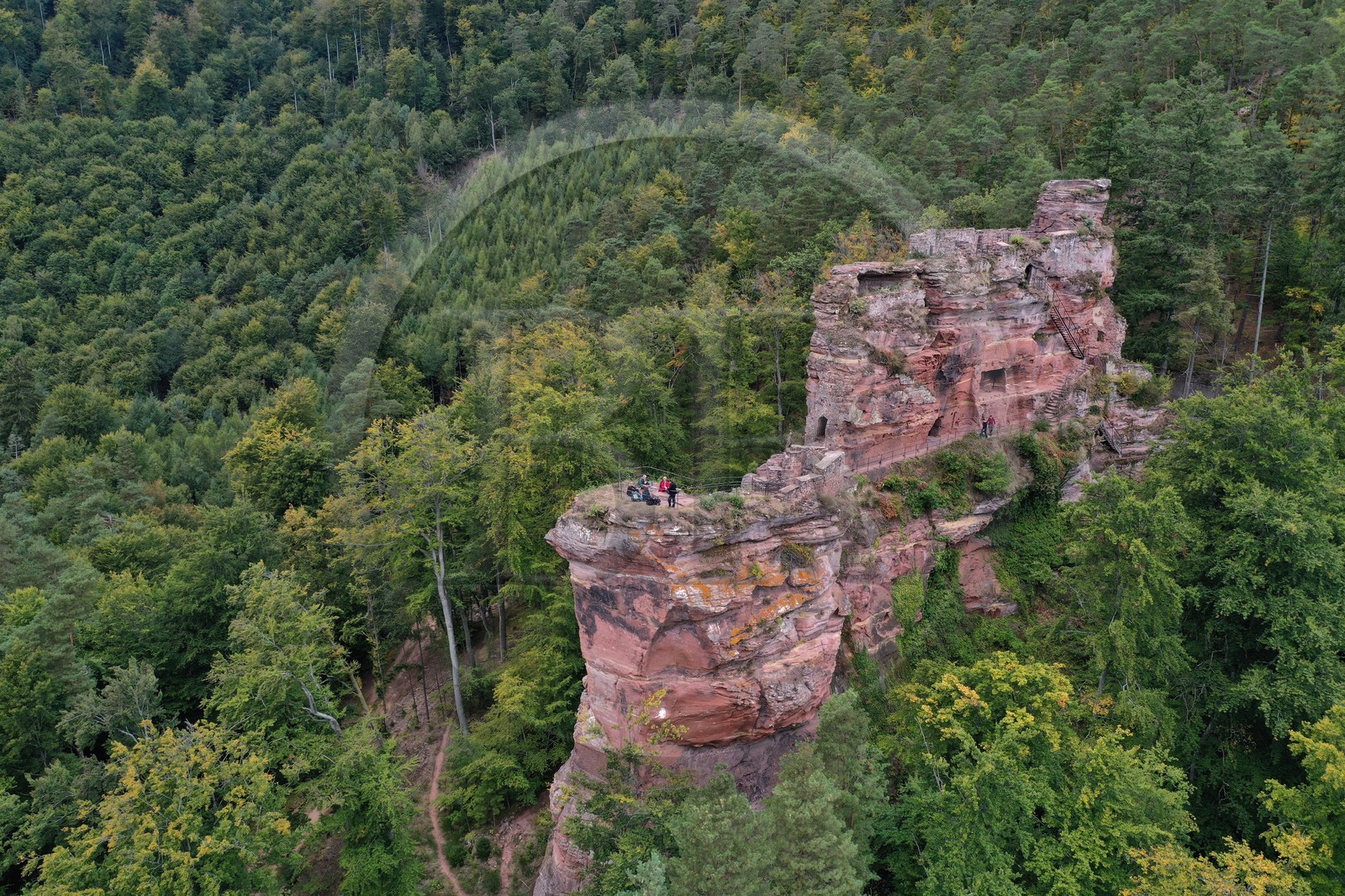 France, Bas Rhin, Northern Vosges Regional Natural Park, Lembach, Steinbach national forest, Froensbourg Castle ruins (aerial view)