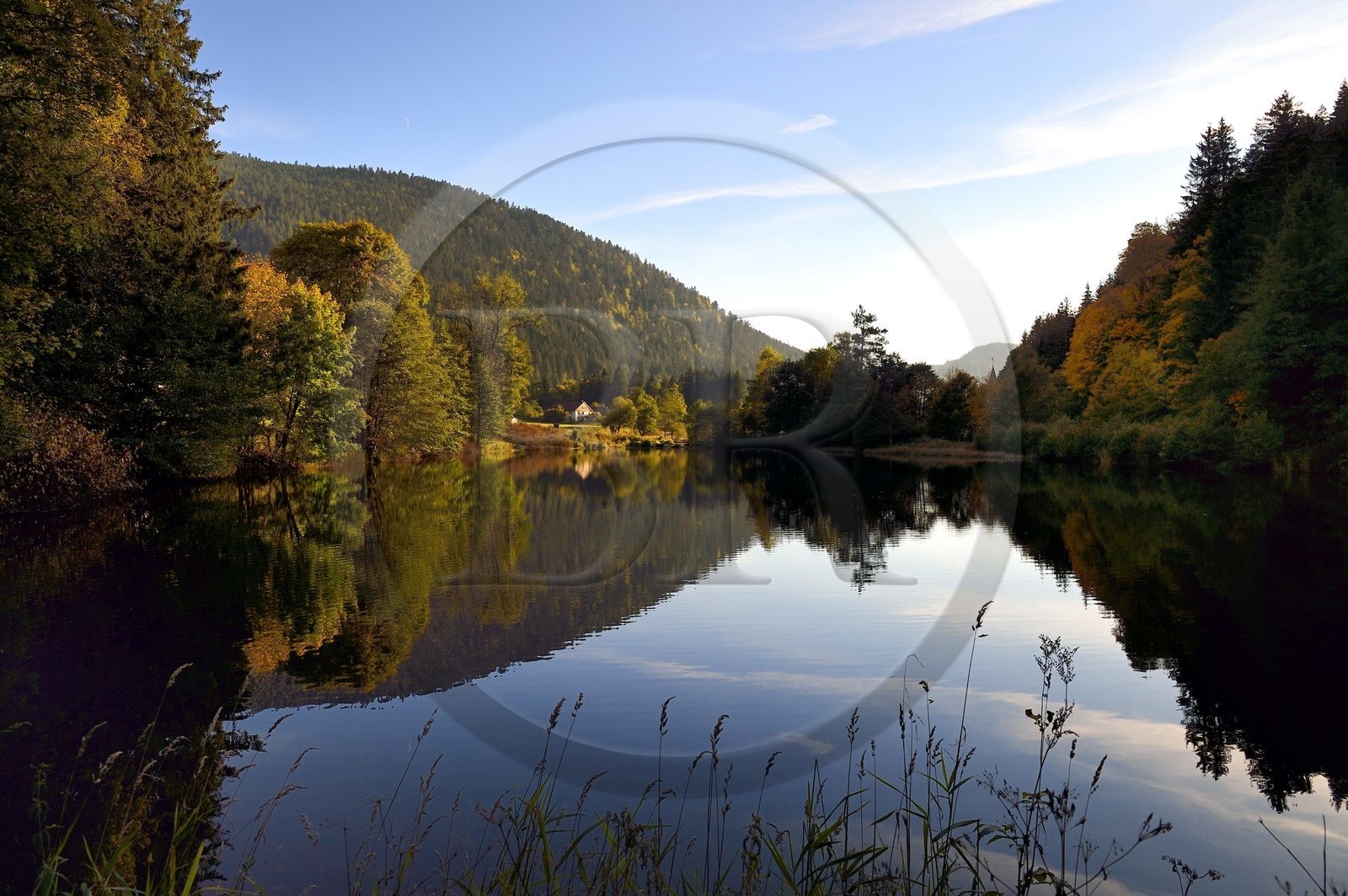 France, Vosges (88), Le Valtin dans la haute-vallée de la Meurthe, l'étang des dames traversé par la rivière de la Meurthe