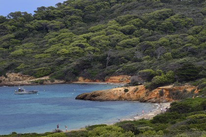 France, Var (83), Iles d'Hyères, parc national de Port Cros, Ile de Porquerolles, plage blanche du Langoustier