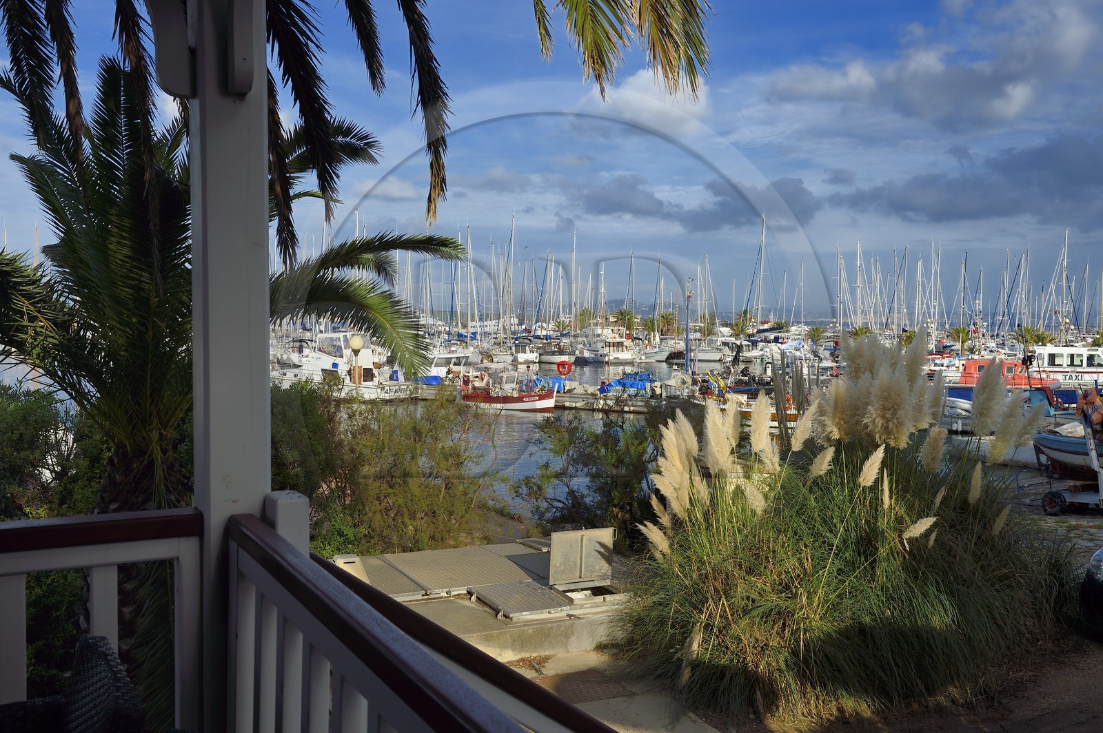 France, Var, Iles d'Hyeres, Parc National de Port Cros (National park of Port Cros), Porquerolles island, Fisherman's Wharf on the village port