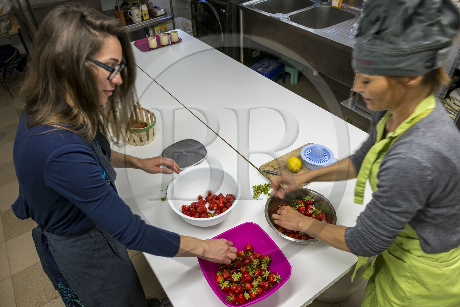 France, Vaucluse (84), Sarrians, Domaine de l'Oiselet, préparation d'un sorbet de fraises maison