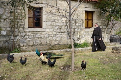 Croatia, Dalmatia, Krka National Park, the Visovac Franciscan Monastery, monk with chickens, rooster and peacock