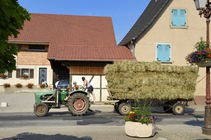 France, Haut Rhin, Sundgau, Oltingue, tractor returning of the fields