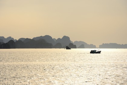 Vietnam, province de Quang Ninh, la Baie d'Halong classée Patrimoine Mondial de l'UNESCO, bateau de pêche entre les iles karstiques