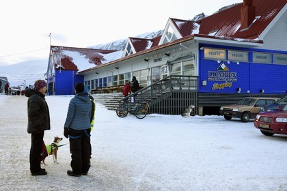 Norvège, Svalbard, Spitzberg, Longyearbyen, chien devant le centre commercial Lompensentret dans la rue principale