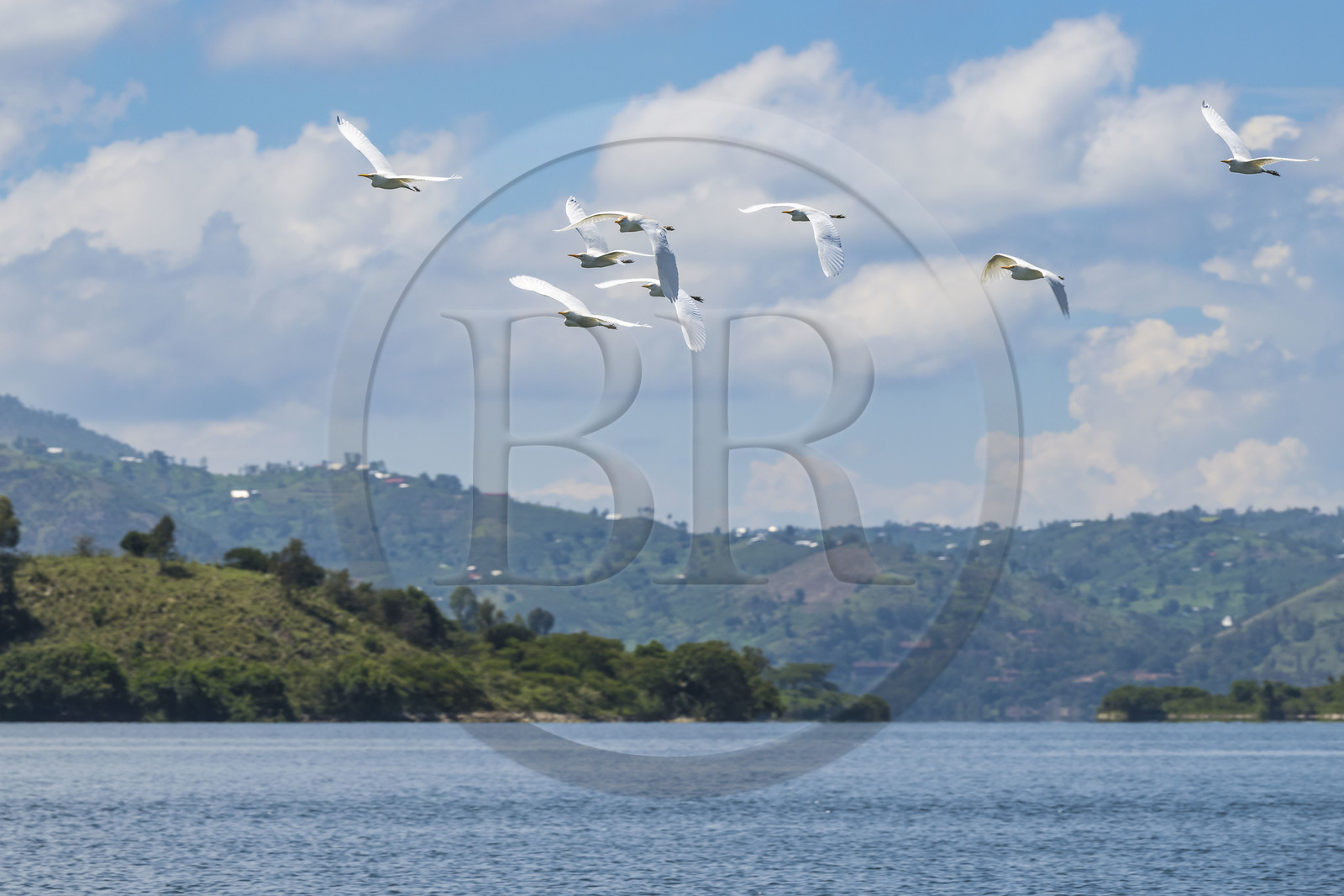 Rwanda, Province de l’Ouest, Karongi (anciennement nommée Kibuye), lac Kivu,