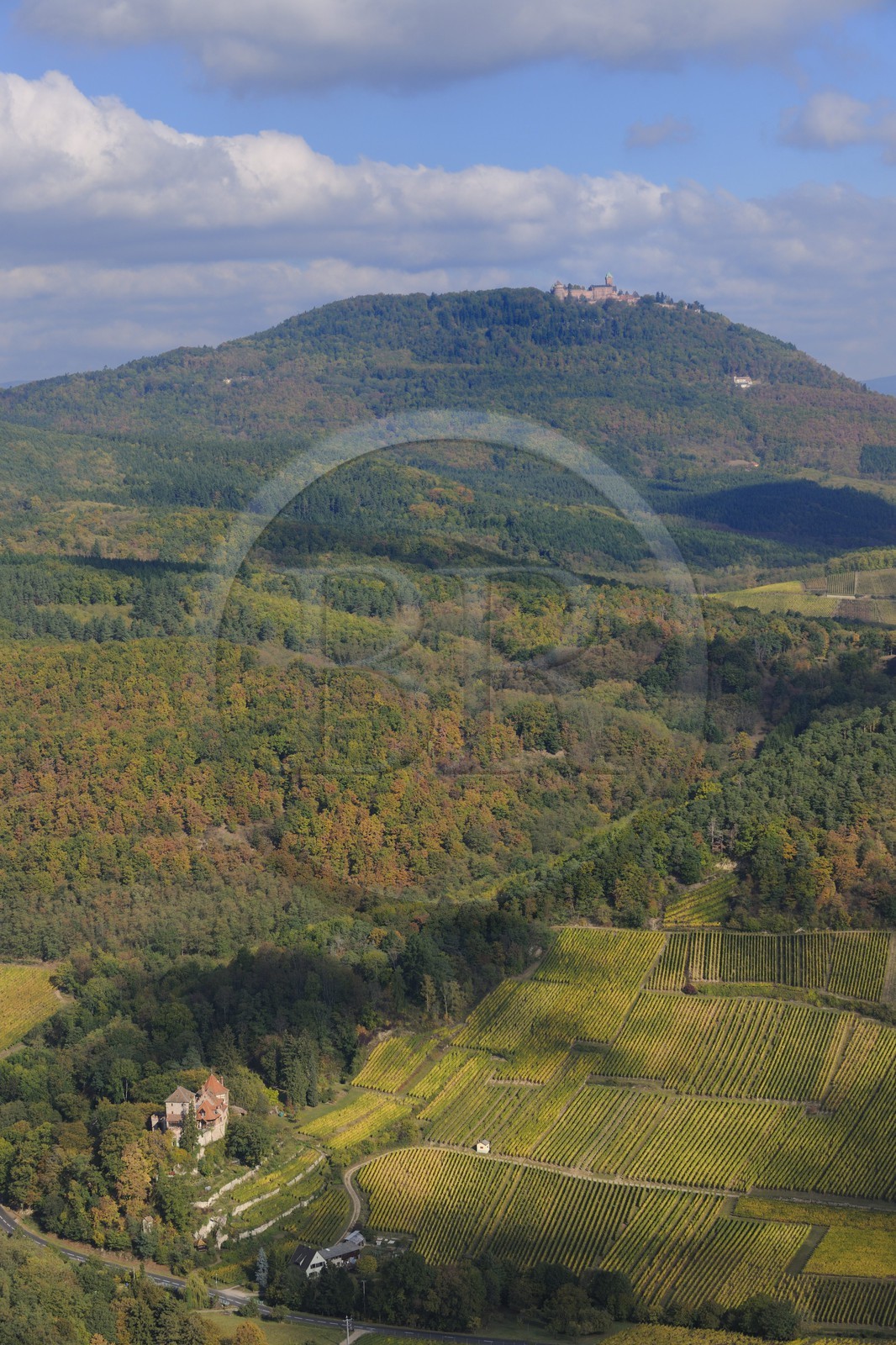 France, Bas-Rhin (67), le château du Haut-Koenigsbourg et les vignobles du Haut-Rhin au pied du Parc Régional des Ballons (photo aérienne)