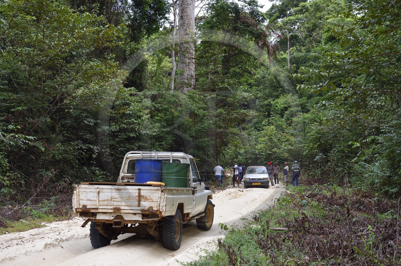 Gabon, Ogooue-Maritime Province, Omboue, Loango region, silted car on a forest trail