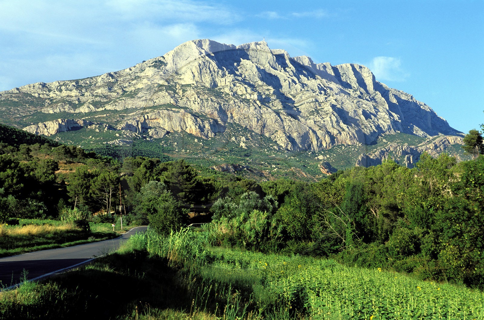 France, Bouches du Rhone, Montagne Sainte Victoire
