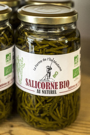 France, Charente-Maritime (17), Port-des-Barques, Ile Madame, la Ferme Aquacole de l'Ile Madame, salicorne européenne (Salicornia europaea) bio fabriquée sur place, elle est semée et récoltée 4 fois par an