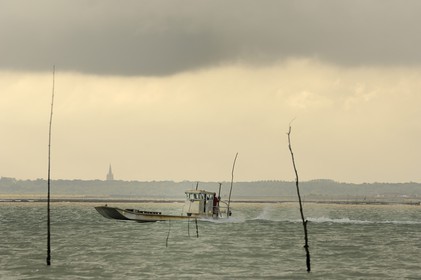 France, Charente-Maritime (17), le bassin Marrennes-Oléron au large de l'Ile d'Oléron