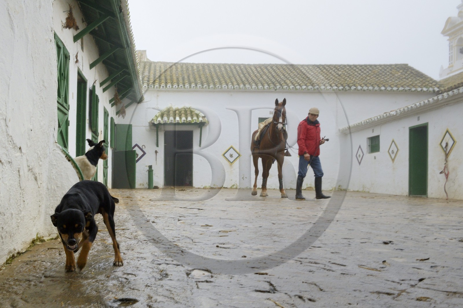 Spain, Andalusia, Seville Province, Utrera, Finca El Pinganillo, the property stud