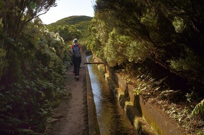 Portugal, Ile de Madère, randonnée dans La forêt de Rabaçal par la levada do Alecrim, un de ces innombrables canaux d'irrigation qui guident l’eau des hauts plateaux jusqu’aux terrasses cultivées du sud