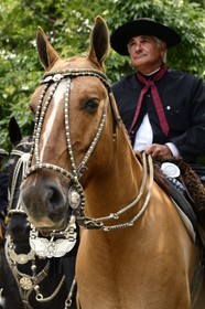 Argentine, province de Buenos Aires, San Antonio de Areco, fête du Jour de la Tradition (Dia de la Tradicion), travail d'orfèvre sur un harnais en argent utilisé lors de grandes occasions par un     estanciero (gaucho propriétaire d'un ranch)