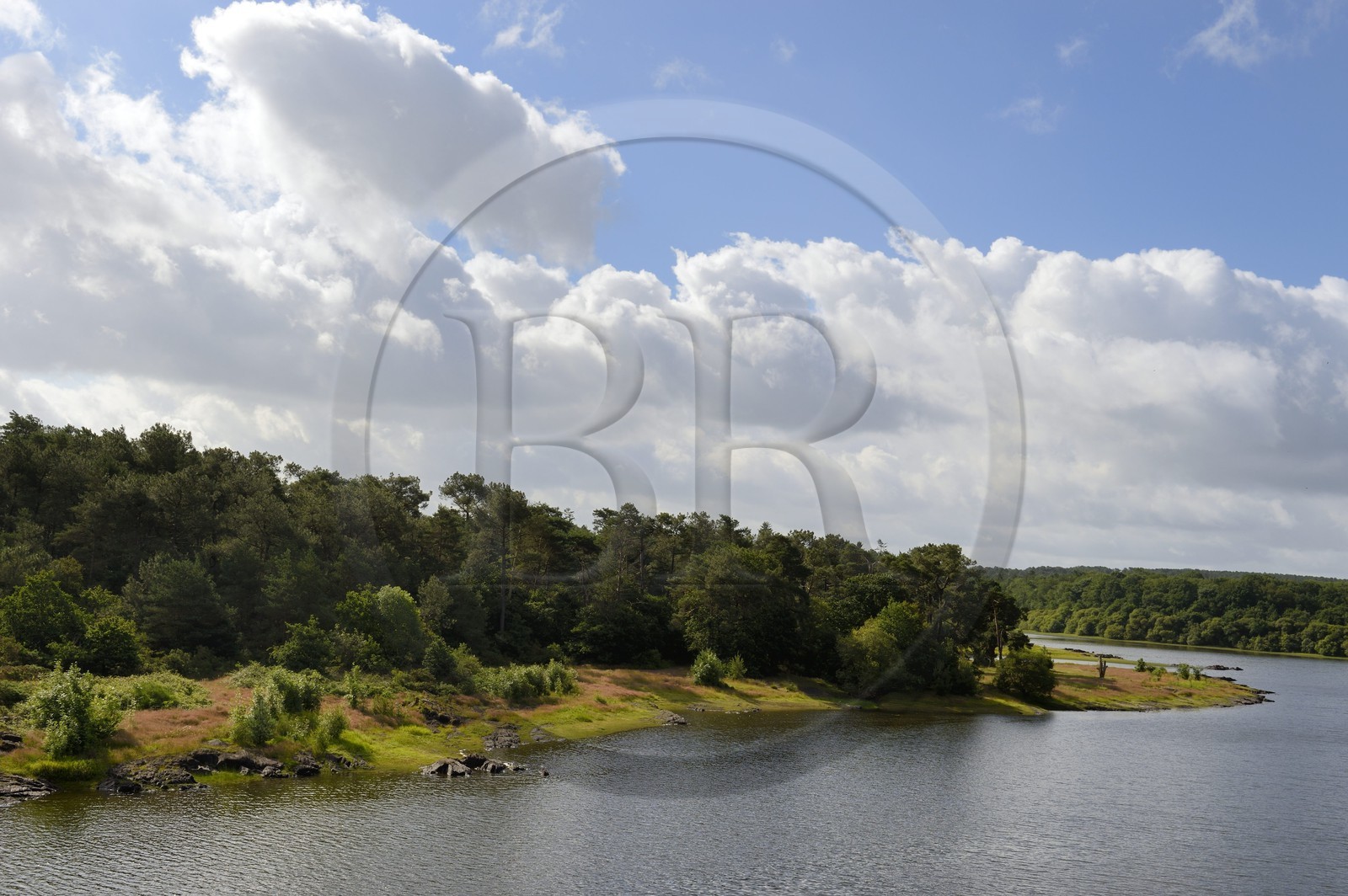 France, Morbihan (56), forêt de Brocéliande, Concoret, le château de Comper qui abrite les expositions du Centre de l'imaginaire arthurien, le Grand Etang ou Lac de Viviane