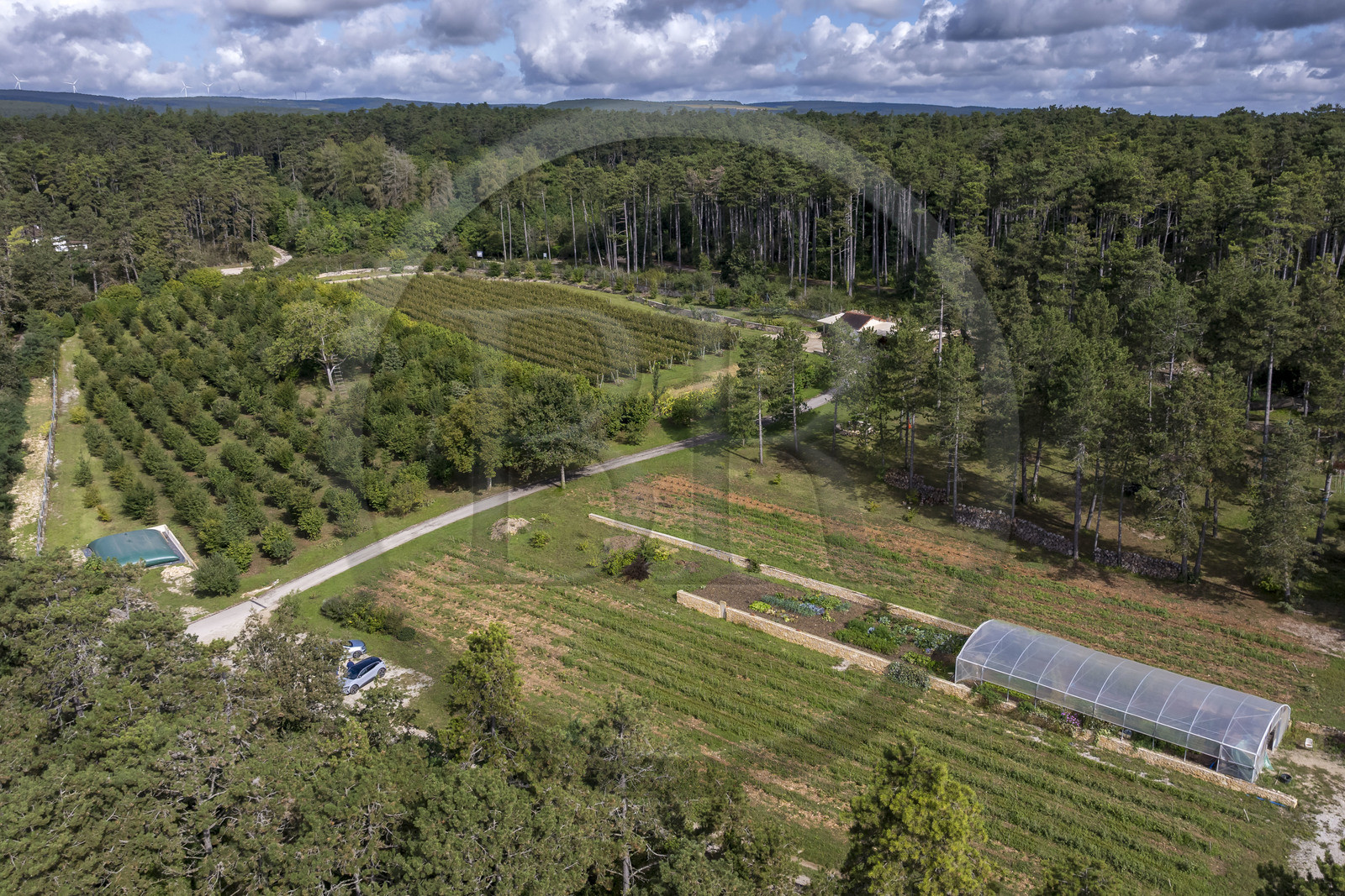 France, Côte-d'Or (21), les climats de Bourgogne classés Patrimoine Mondial de l'UNESCO, Beaune, le Clos de la Belle Châtelaine, verger-jardin (vue aérienne)
