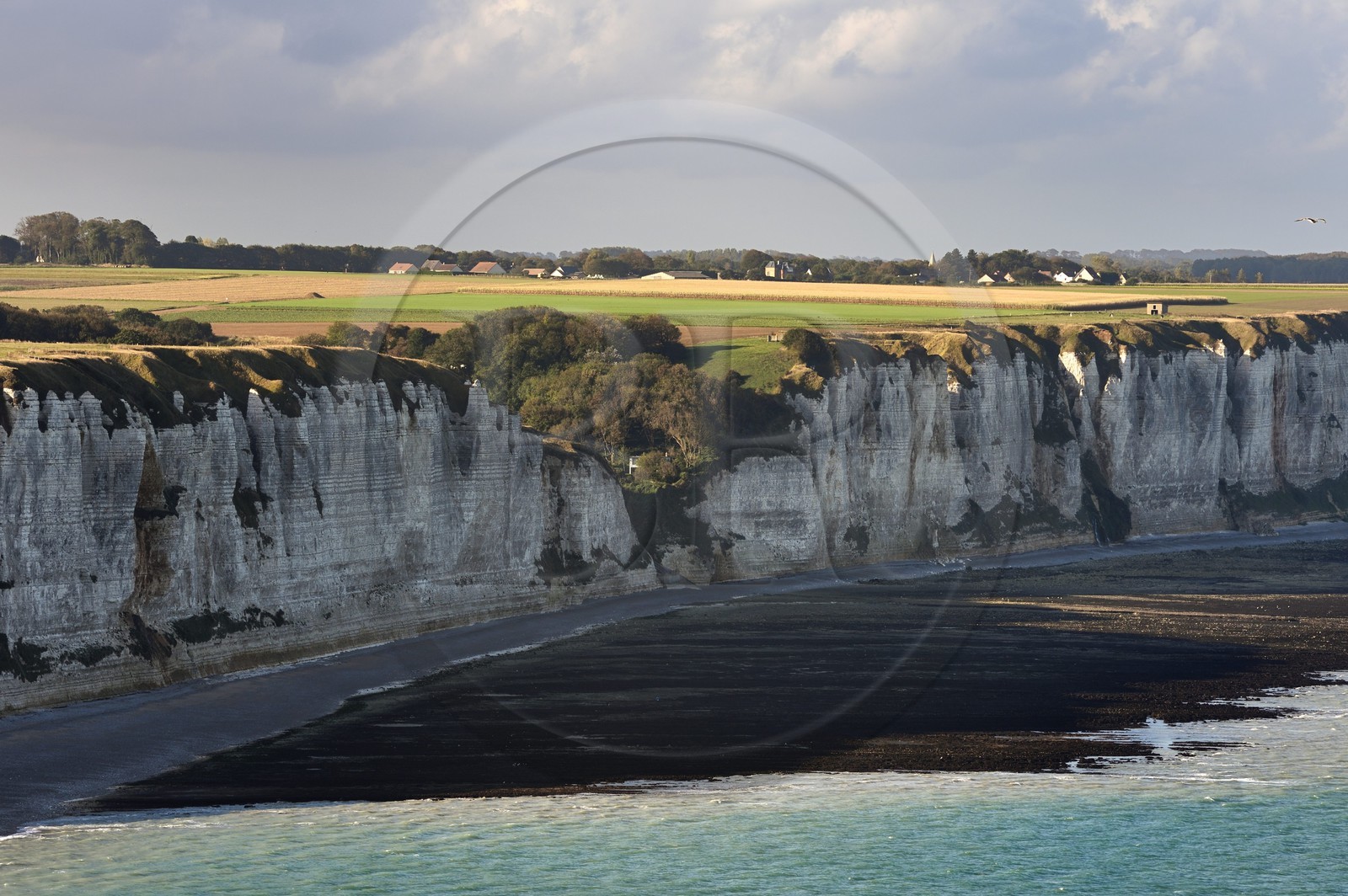 France, Seine Maritime, Pays de Caux, Cote d'Albatre, Fecamp, cliffs south of the city