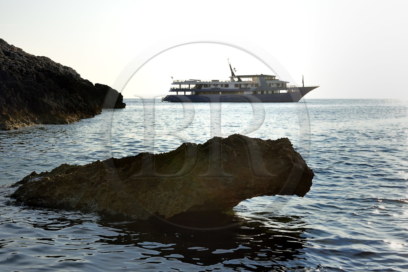 Croatia, Dalmatia, Dalmatian coast, Bisevo Island,