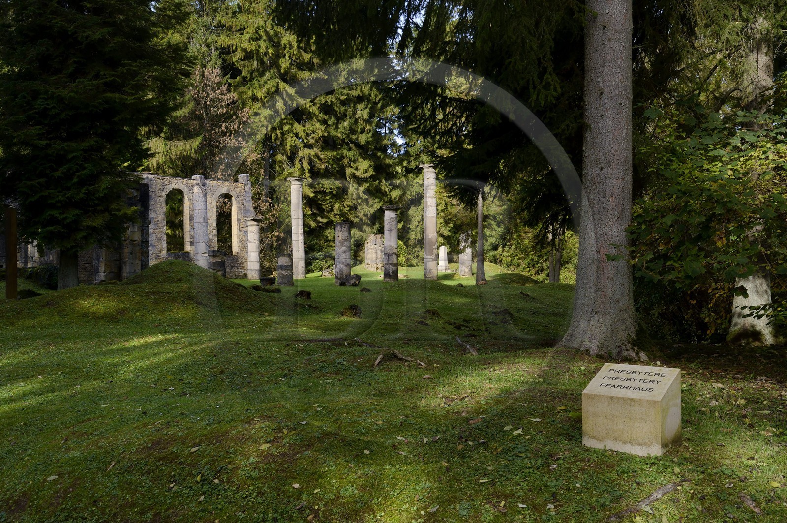 France, Meuse (55), région de Verdun, bataille de Verdun, le village d'Ornes classé comme « mort pour la France » fait partie des villages français détruits durant la Première Guerre mondiale, ruines de l'église