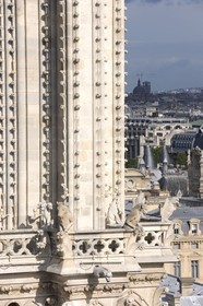 France, Paris (75), île de la Cité, la cathédrale Notre-Dame, les chimères observent la ville