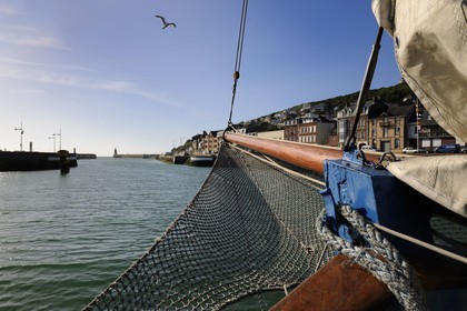 France, Seine-Maritime (76), Pays de Caux, Côte d'Albâtre, sortie du port de Fécamp à bord du vieux gréement la Tante Fine