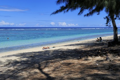 France, île de la Réunion, la Cote Ouest, plage du lagon de Saint-Gilles-Les-Bains à l'Ermitage-les-Bains et filaos