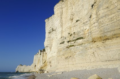 France, Seine-Maritime (76), Pays de Caux, Côte d'Albâtre, Etretat, la falaise d'Amont