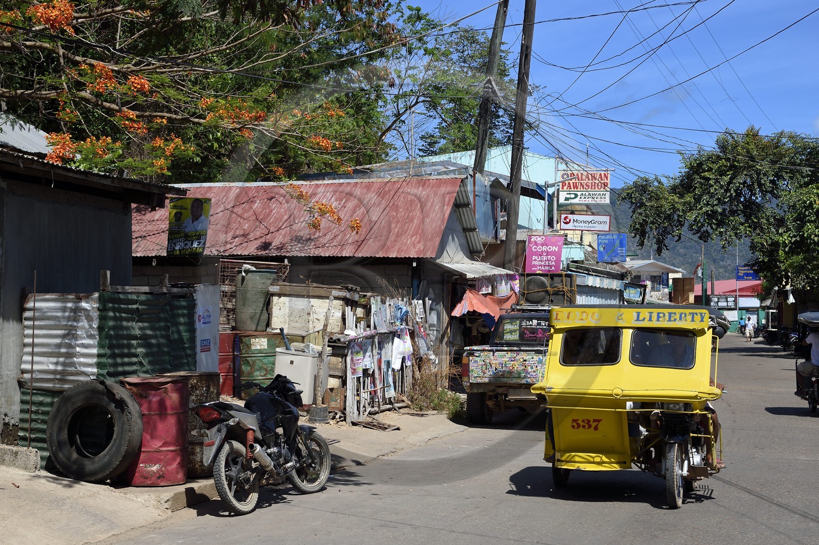 Philippines, Calamian Islands dans le nord de Palawan, Busuanga Island, ville de Coron, tricycle moto-taxi et Palawan cherry tree