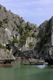 Vietnam, province de Quang Ninh, la Baie d'Halong classée Patrimoine Mondial de l'UNESCO, regroupement de bateaux de pêche sous une arche naturelle d'un ilot calcaire