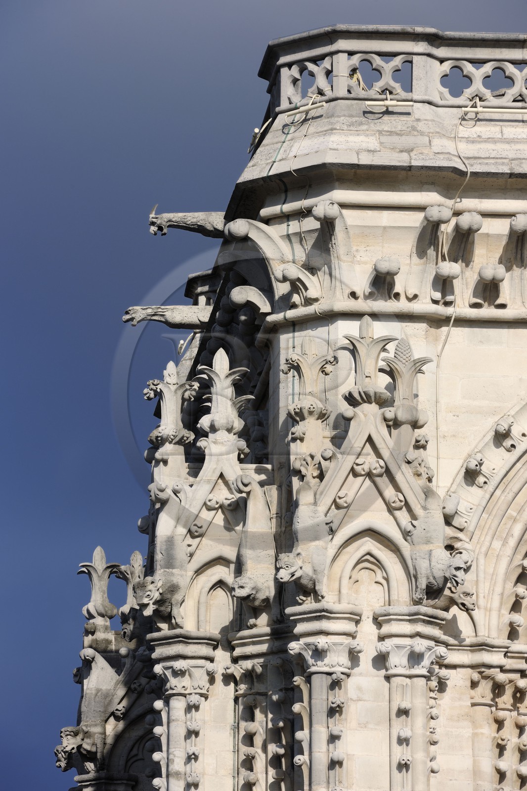France, Paris (75), île de la Cité, la cathédrale Notre-Dame, les gargouilles et les chimères observent la ville